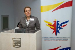 AmCham Business Breakfast with Minister of Science Sanja Vlahovic, March 7, 2012 (17)