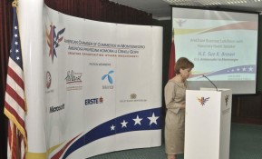 AmCham Business Luncheon  US Ambassador to Montenegro H.E. Sue K. Brown, June  (37)