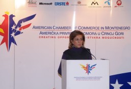 AmCham Business Luncheon with Head of EU Delegation to Montenegro Leopold Maurer (23)