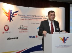 AmCham Business Luncheon with Minister for Spatial Planning and Environment  (24)