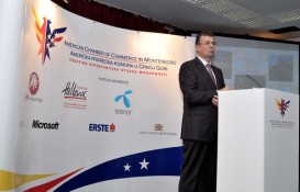 AmCham Business Luncheon with Minister for Spatial Planning and Environment  (33)