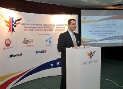 AmCham Business Luncheon with Minister for Spatial Planning and Environment  (7)