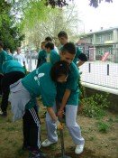 AmCham Clean and Green Dusan Korac Elementary School in Bijelo Polje, April 26, 2011  (9)