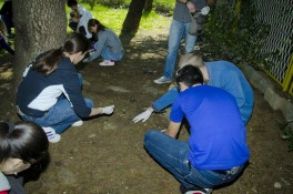 AmCham Clean and Green at the June 1st Elementary School in Podgorica, April 26, 2012 (12)