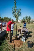AmCham Clean and Green at the Radojica Perovic Elementary School October 11 (12)