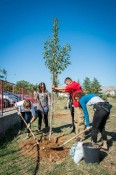 AmCham Clean and Green at the Radojica Perovic Elementary School October 11 (13)
