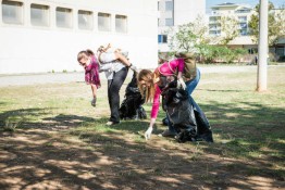 AmCham Clean and Green at the Radojica Perovic Elementary School October 11 (5)