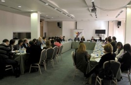 AmCham Round Table with Deputy Minister of Labor Anka Stojkovic, February 2, 2011 (10)