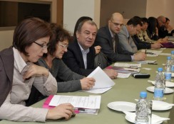 AmCham Round Table with Deputy Minister of Labor Anka Stojkovic, February 2, 2011 (1)
