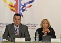 AmCham Round Table with Deputy Minister of Labor Anka Stojkovic, February 2, 2011 (15)