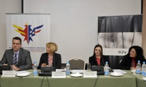 AmCham Round Table with Deputy Minister of Labor Anka Stojkovic, February 2, 2011 (19)