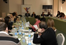 AmCham Round Table with Deputy Minister of Labor Anka Stojkovic, February 2, 2011 (9)