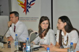 AmCham General Assembly Elections, June 27, 2012 (7)