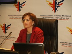 Amcham Montenegro Press Conference, Dec 11, 2012 (6)