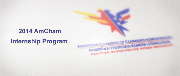 2014 AmCham Internship Program