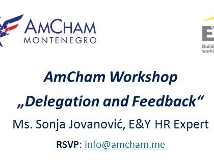 Apply for AmCham Workshop „Delegation & Feedback“