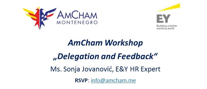 Apply for AmCham Workshop „Delegation & Feedback“