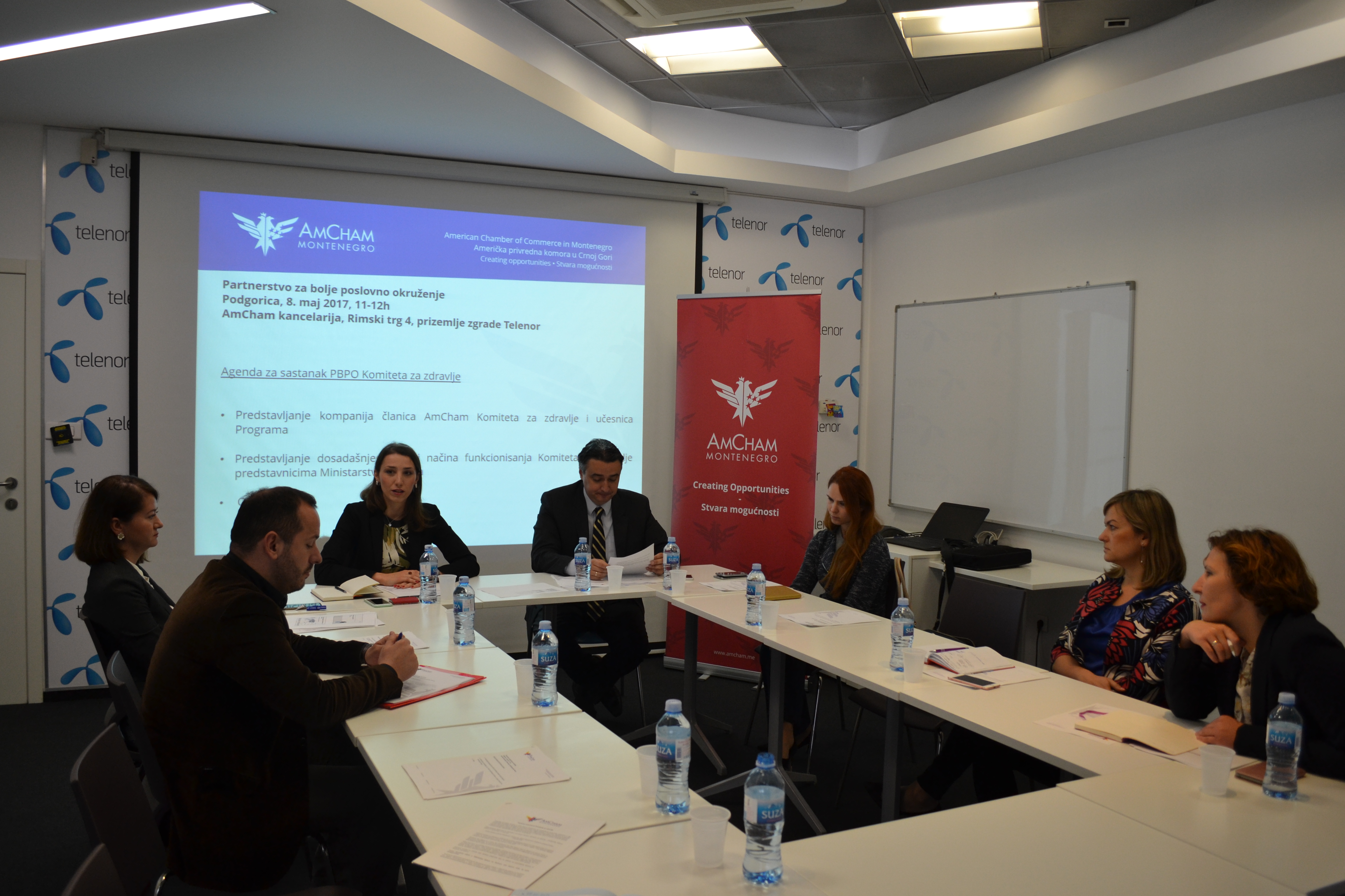 Meeting of AmCham Health Care Committee within Partnership for a Better Business Environment