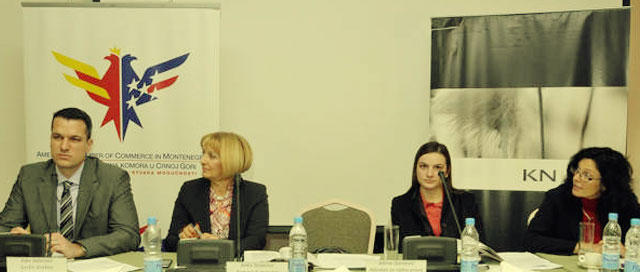 AmCham Montenegro Round Table Discussion With Deputy Minister Of Labor And Social Welfare