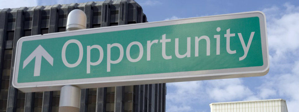 Seize Your Opportunity – Take Part in the AmCham Internship Program